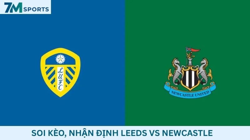 Soi kèo Leeds vs Newcastle